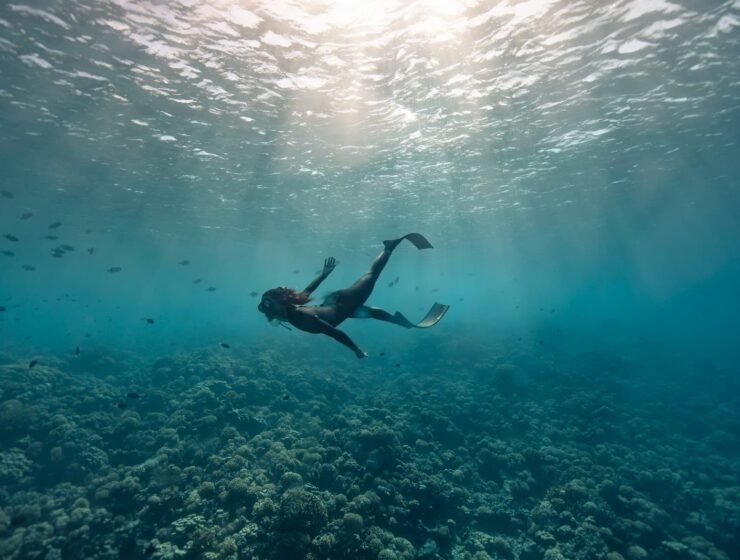 Plongeuse en apnée avec masque et palmes, nageant dans le lagon de Fakarava. Jardin de corails dans le fond et poissons tropicaux autour de la nageuse. Plongée en Apnée et Respect de l'Environnement Marin en Polynésie.