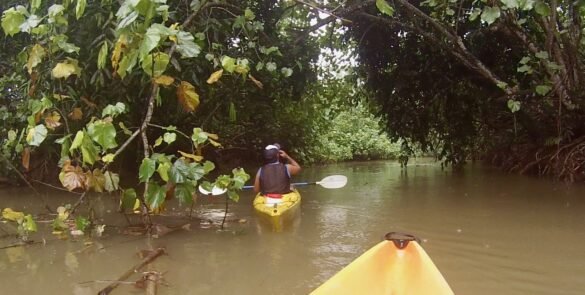 Kayak dans la rivière de Faaroa