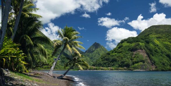 Tahiti, plage de sable noir de Tautira. Cocotiers, et montagne en arrière plan.