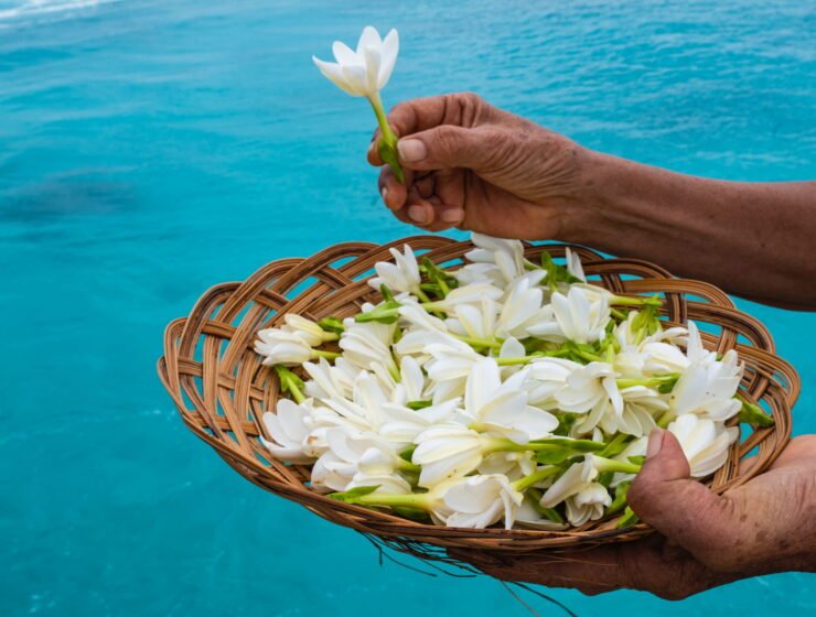 Fleurs de Tiare Tahiti dans un panier présenter au dessus du lagon en Polynésie.