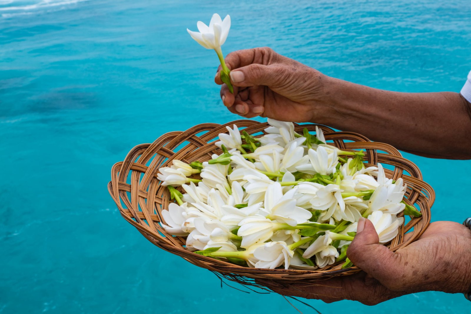 Fleurs de Tiare Tahiti dans un panier présenter au dessus du lagon en Polynésie.