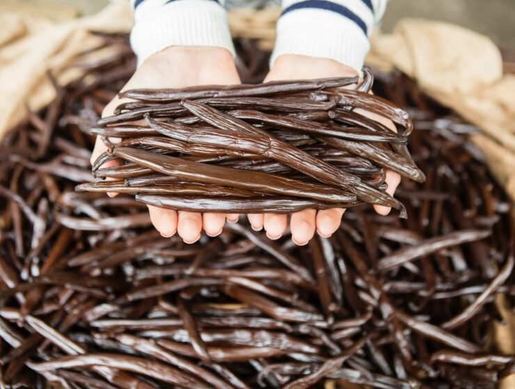 femme tenant dans ses mains des gousses de vanille de polynesie