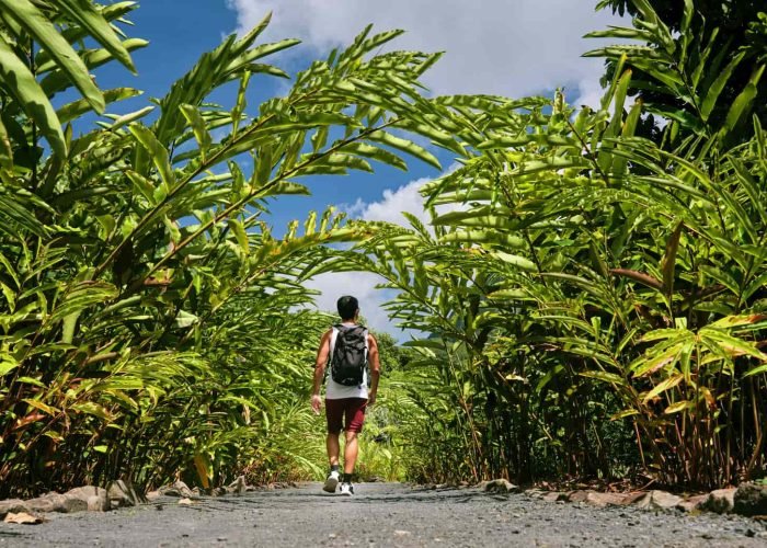 P2_RAIATEA_Alikaphoto-_DSC8797_© Alika Photography