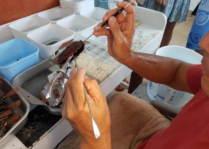 RFP_Pearl farm©Are Tours (4)