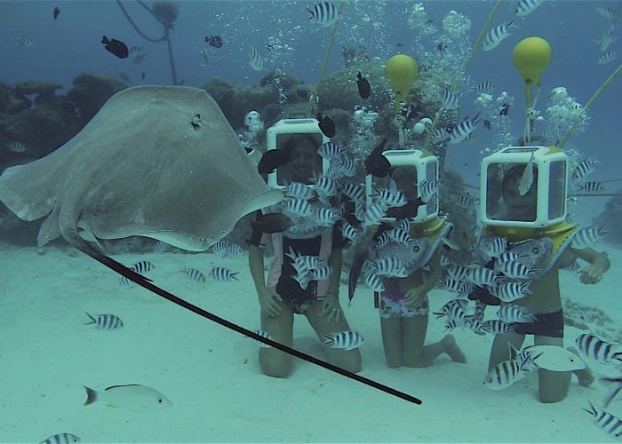 Activité Aquasafari à Bora Bora - Femme et deux enfants avec un scaphandre en train de regarder les poissons tropicaux et la raie pastenague.