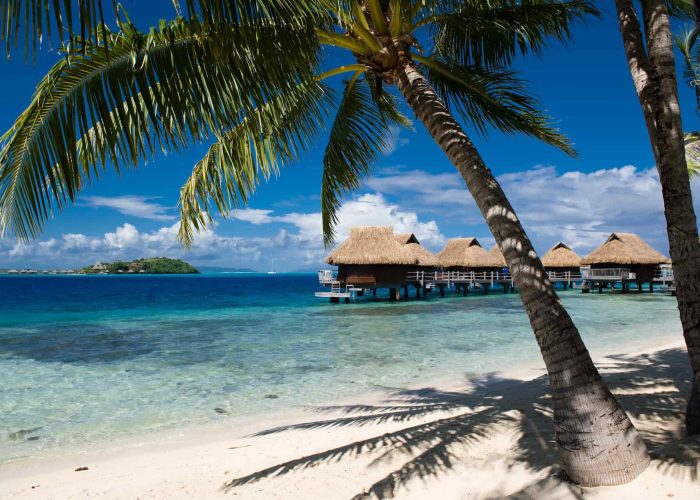 Hôtel Maitai Polynesia 3* à Bora Bora - vue de la plage sur un cocotier, avec lagon et bungalows sur pilotis en arrière plan