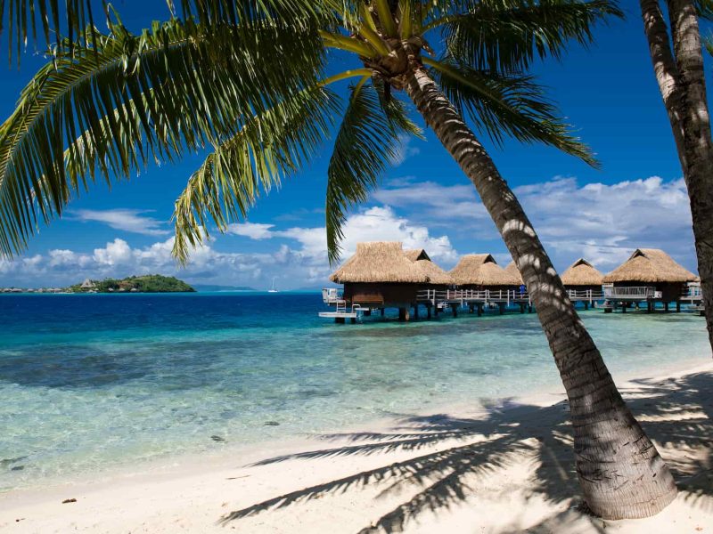 Hôtel Maitai Polynesia 3* à Bora Bora - vue de la plage sur un cocotier, avec lagon et bungalows sur pilotis en arrière plan