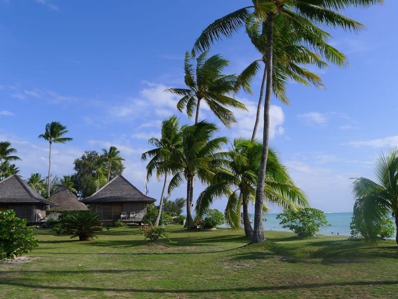 Hôtel Matira 2* à Bora Bora. Vue sur le jardin et le lagon. 3 bungalows et cocotiers.