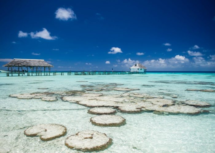 Pension Havaiki Lodge à Fakarava - vue sur le lagon et ses patates de corail. Ponton et ferme perlière en arrière plan