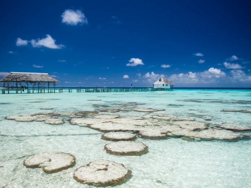 Pension Havaiki Lodge à Fakarava - vue sur le lagon et ses patates de corail. Ponton et ferme perlière en arrière plan