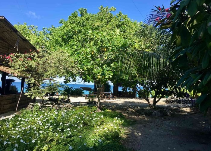 pension raimiti à fakarava sud - jardin de la pension