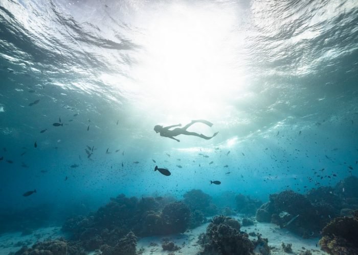 femme plongeuse apnée dans le lagon de Fakarava