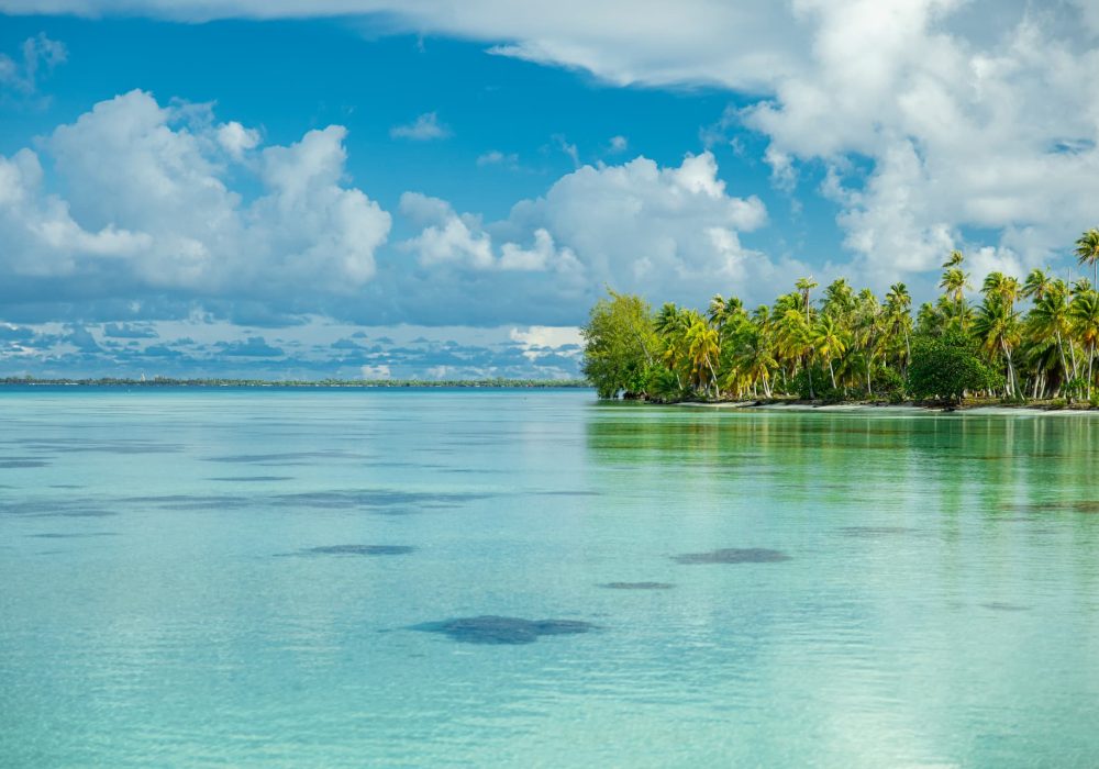 vue sur le lagon de Fakarava, motu avec cocoteraie en arrière plan