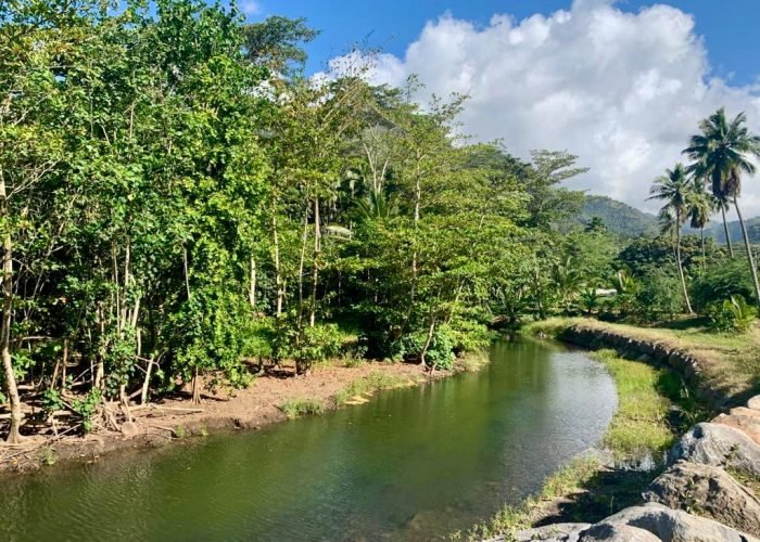 Rivière de Hiva Oa au bord d'une forêt. Marquises.