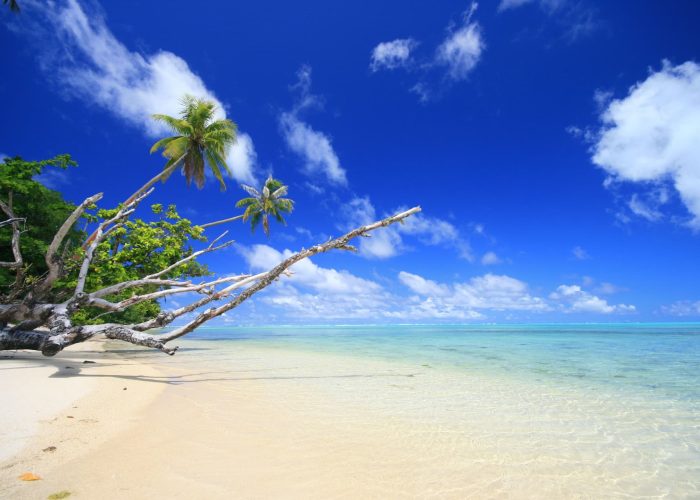 Vue plage et lagon avec palmiers depuis l'hôtel Le Mahana 3* à Huahine