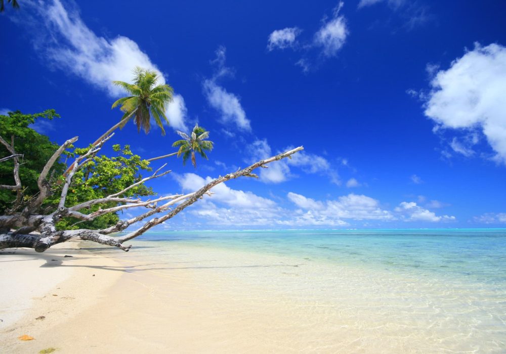 Vue plage et lagon avec palmiers depuis l'hôtel Le Mahana 3* à Huahine