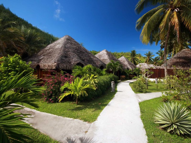 Hôtel Le Mahana 3* à Huahine - vue du jardin de l'hôtel, avec une allée verdoyante menant à des bungalows jardin avec toits en pandanus