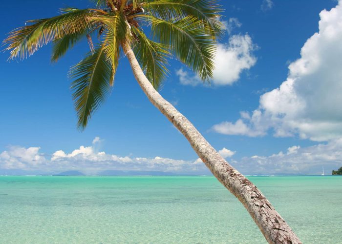 Hôtel Le Mahana 3* à Huahine. Vue générale sur le lagon turquoise avec palmier au premier plan.