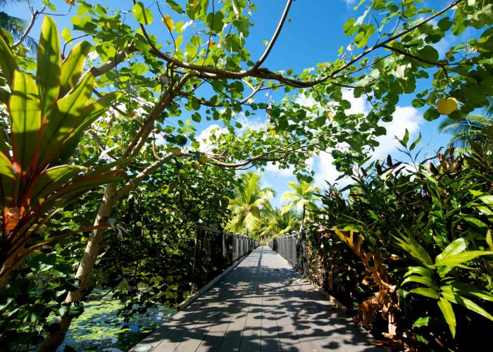 Hôtel Maitai Lapita village 3* à Huahine - vue du pont de l'hôtel, entouré d'une végétation luxuriante