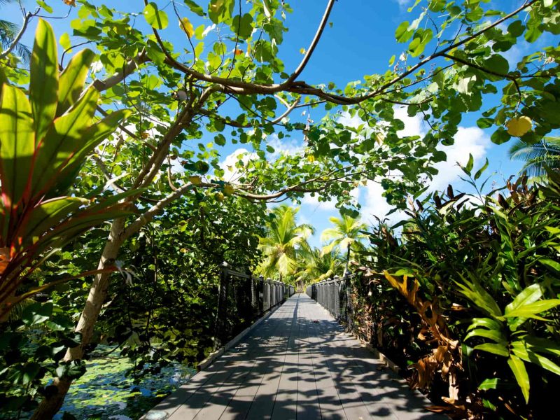 Hôtel Maitai Lapita village 3* à Huahine - vue du pont de l'hôtel, entouré d'une végétation luxuriante