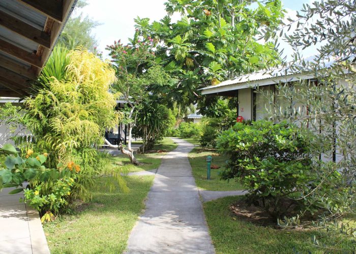 Pension Fare Maeva à Huahine - Jardin avec allée principale menant aux chambres et bungalows.