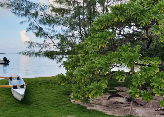 Pension Moana Lodge à Huahine. Vue sur la lagon depuis el jardin e la pension, va'a sur la pelouse et bateau dans le lagon.