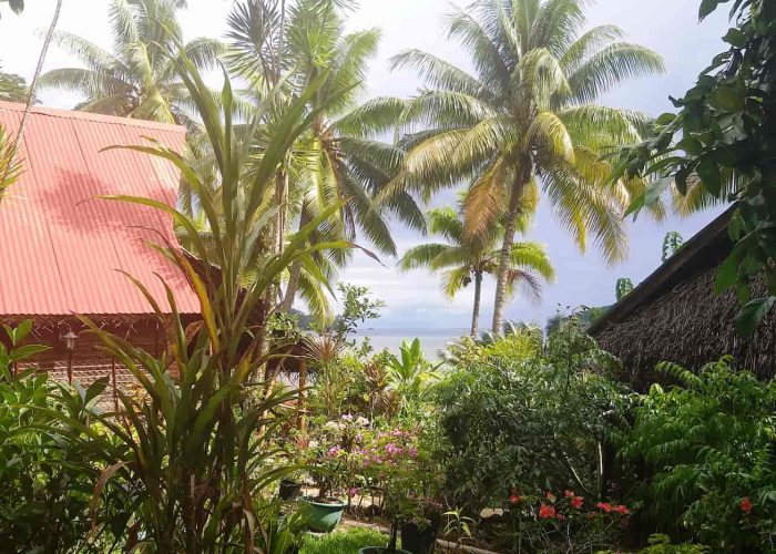 Pension Tupuna à Huahine. Jardin luxuriant de la pension. Bungalow sur la gauche et lagon en arrière plan.