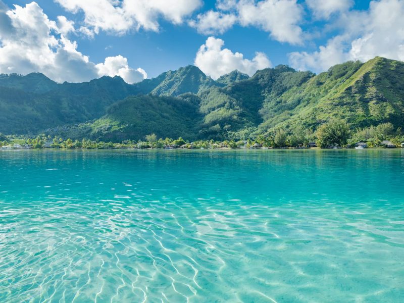 Vue depuis le lagon turquoise e Moorea sur la montagne verdoyante.