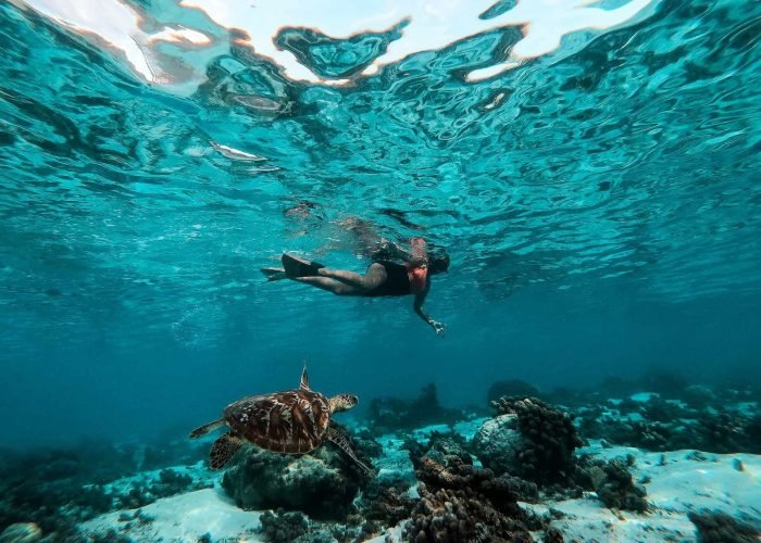 subtiles-tahiti-moorea-captain-taina-2©captain-taina