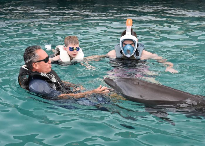 Activité en famille à Moorea - Père et son fils regardant un dauphin en captivité au Moorea Dolphin Center.