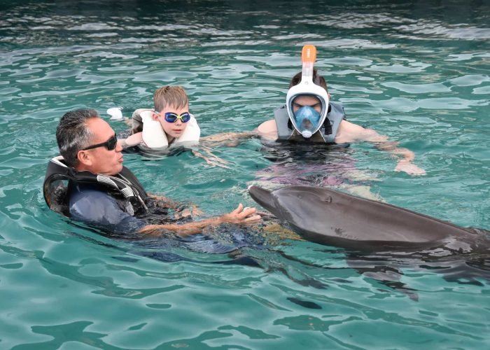 Activité en famille à Moorea - Père et son fils regardant un dauphin en captivité au Moorea Dolphin Center.