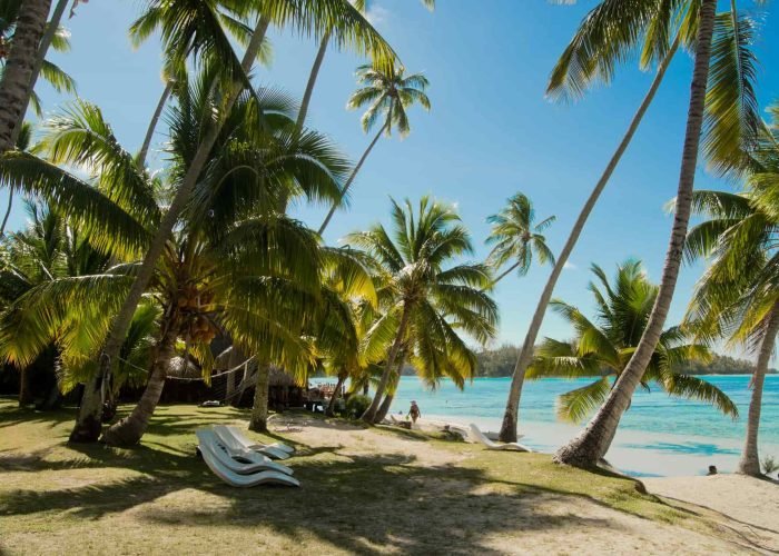 Hôtel Les Tipaniers 2* à Moorea - plage et cocotiers.