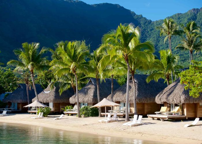 Hôtel Manava Beach Resort & Spa 4* à Moorea. Vue sur les Bungalows plage, face au lagon. Cocoteraie en arrière plan.