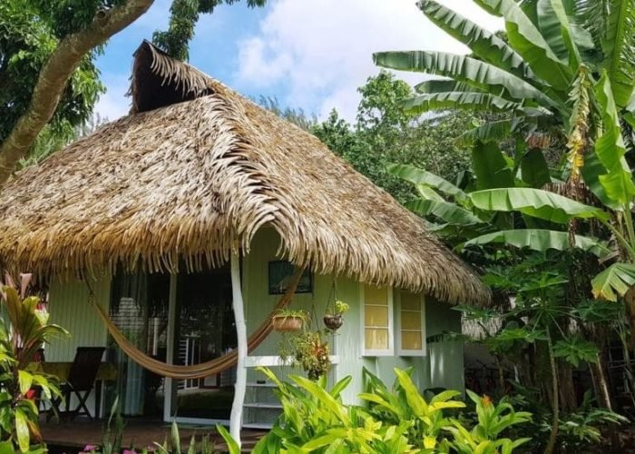 Pension Linereva Beach Resort Moorea - extérieur d'un bungalow jardin.