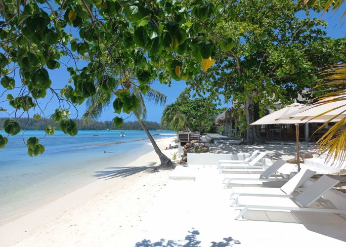 Pension Moorea Island Beach à Moorea - plage de sable blanc avec transats et lagon bleu.