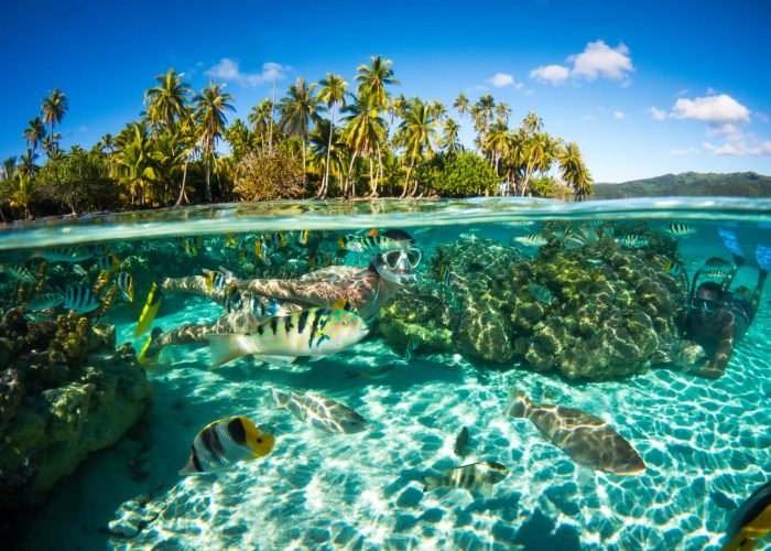 Snorkeling Polynésie - deux plongeurs masque et tuba dans un jardin de corail avec poissons tropicaux