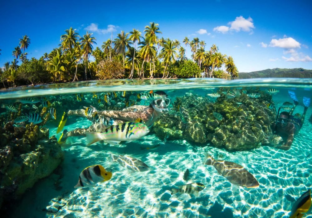 Snorkeling Polynésie - deux plongeurs masque et tuba dans un jardin de corail avec poissons tropicaux