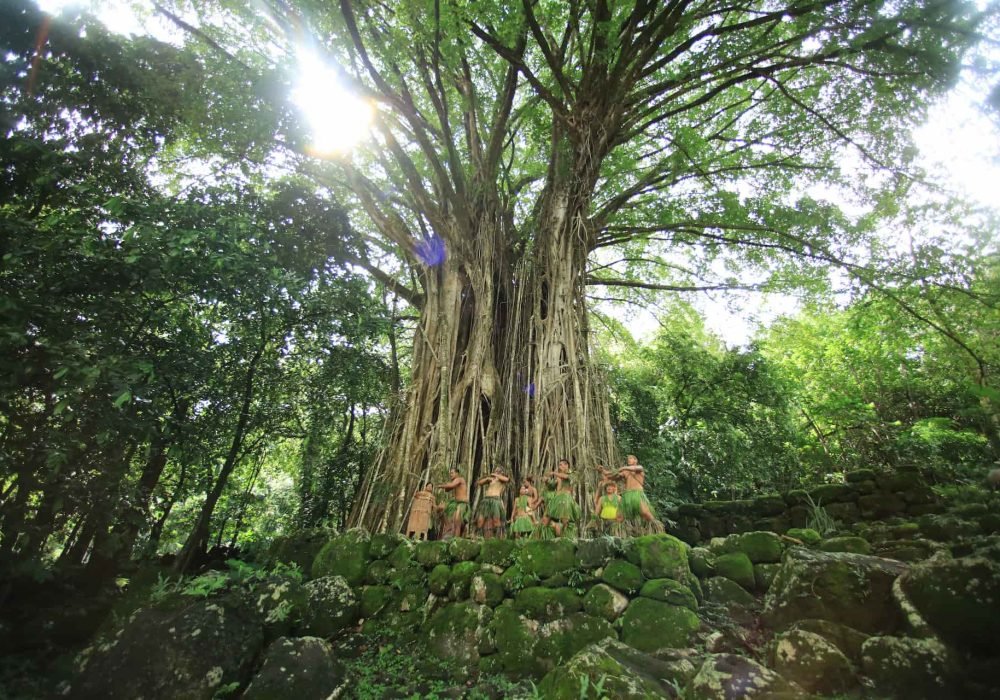 vue contre-plongée de marquisiens au pied d'un banian géant sur le site de Kamuihei à Nuku Hiva
