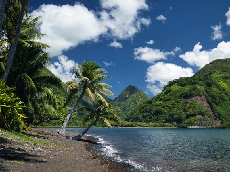 Tahiti, plage de sable noir de Tautira. Cocotiers, et montagne en arrière plan.