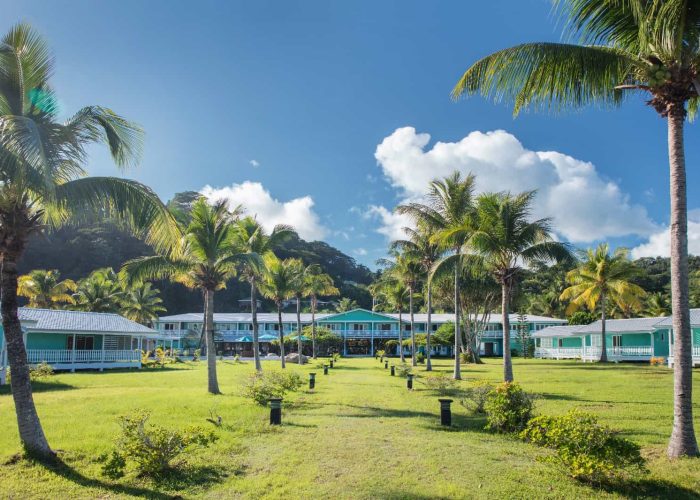 Hôtel Raiatea Lodge 3* à Raiatea. Grande allée jardin avec cocotiers de part et d'autre, bâtiment colonial en arrière plan.