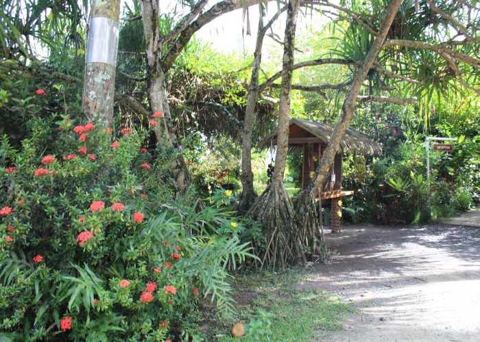 Pension Sunset Beach Motel à Raiatea - jardin tropical.