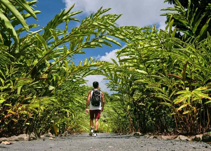 subtiles-tahiti-raiatea©alikaphoto