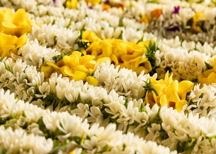 gros pan sur des colliers de fleurs de tiare tahiti.