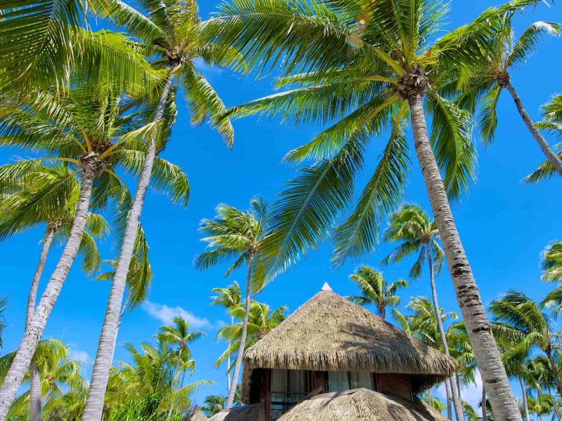 Hôtel Kia Ora 4* à Rangiroa - vue en contrebas d'un bungalow plage duplex avec jacuzzi privée sur la terrasse