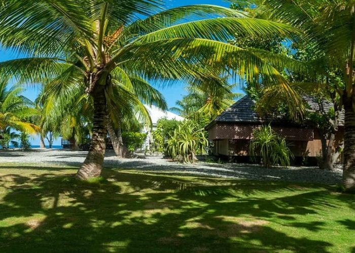 Pension Te Vahine Dream à Rangiroa - Jardin tropical avec palmiers.