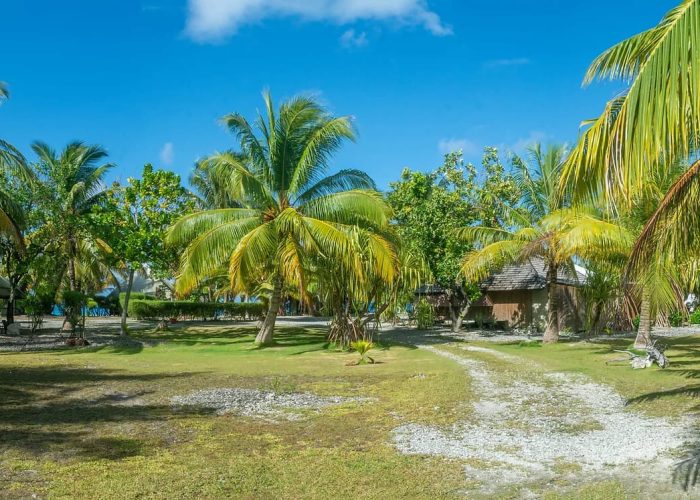 Pension Te Vahine Dream à Rangiroa - Jardin de la pension avec palmiers et grand ciel bleu.