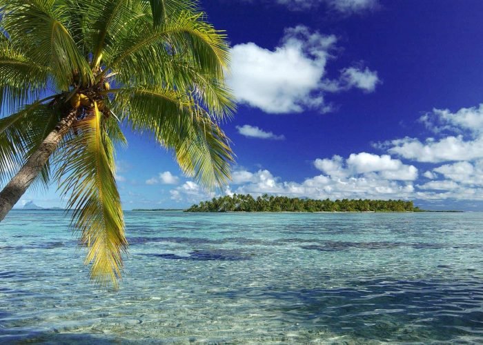 subtiles-tahiti-tahaa-hotel-vahine-island-10©vahine-island Hôtel Vahine Private Island 4* à Taha’a - Lagon turquoise, palmier et motu. Bora Bora en arrière plan.