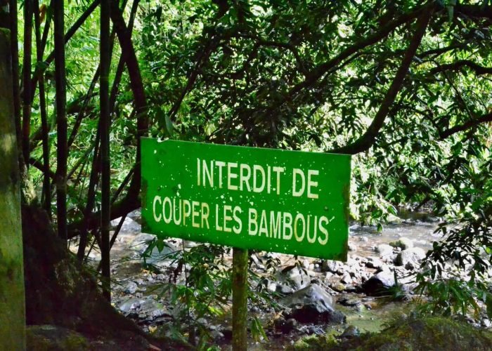panneau "interdit de couper les bambous" randonnée des 3 cascades à Tahiti