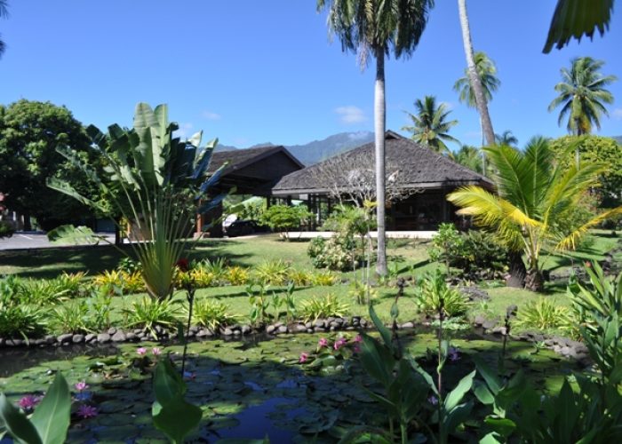 Hôtel Royal Tahitien 3* à Tahiti. Jardin tropical d l'hôtel avec étang et palmier voyageur en premier plan.