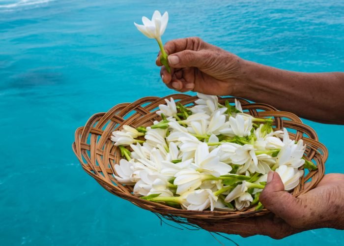 La Tiare Tahiti : emblème parfumé de la Polynésie